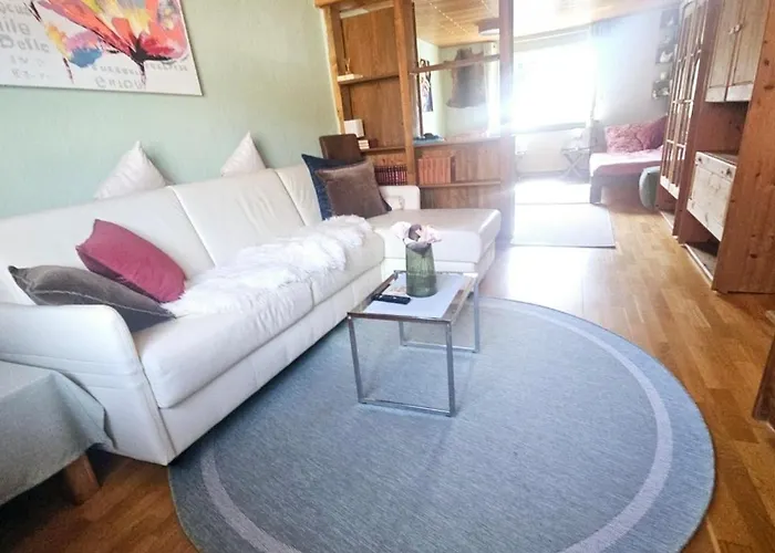 Haus-klaus 아파트 Birstein